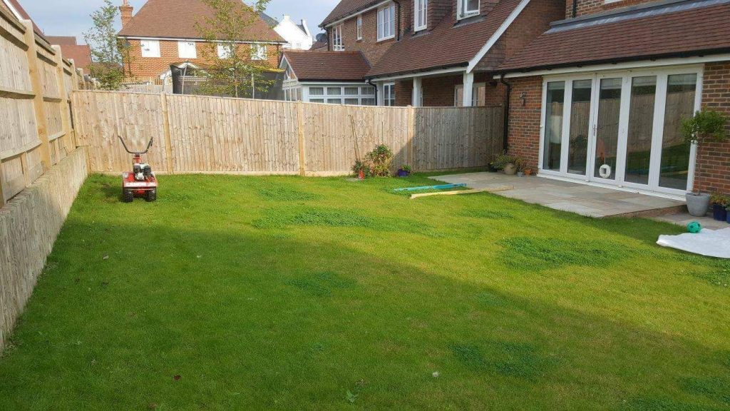 Before - Garden makeover set 1 picture 1